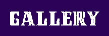 Button Link for Image Gallery